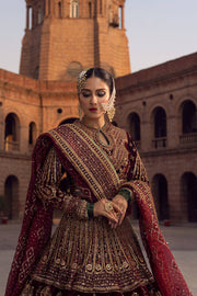 Royal Pakistani Bridal Dress in Embellished Lehenga Choli and Dupatta Style in Premium Velvet