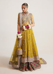 Royal Pakistani Bridal Dress in Open Pishwas Frock with Wedding Lehenga and Net Dupatta Style