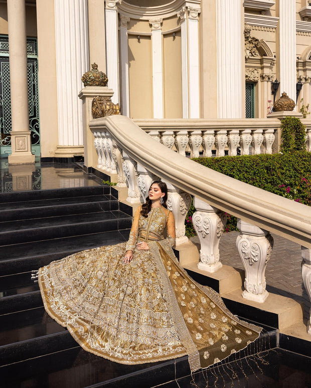 Royal Pakistani Bridal Gown Lehenga and Dupatta Dress in Net