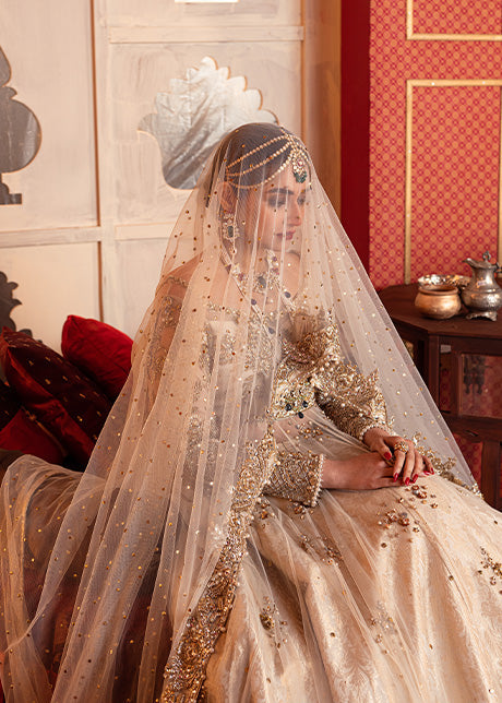 Elegant Royal Pakistani Bridal Lehenga & Pishwas Frock Dress