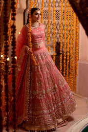 Royal Pakistani Bridal Pink Lehenga Choli Dupatta Dress