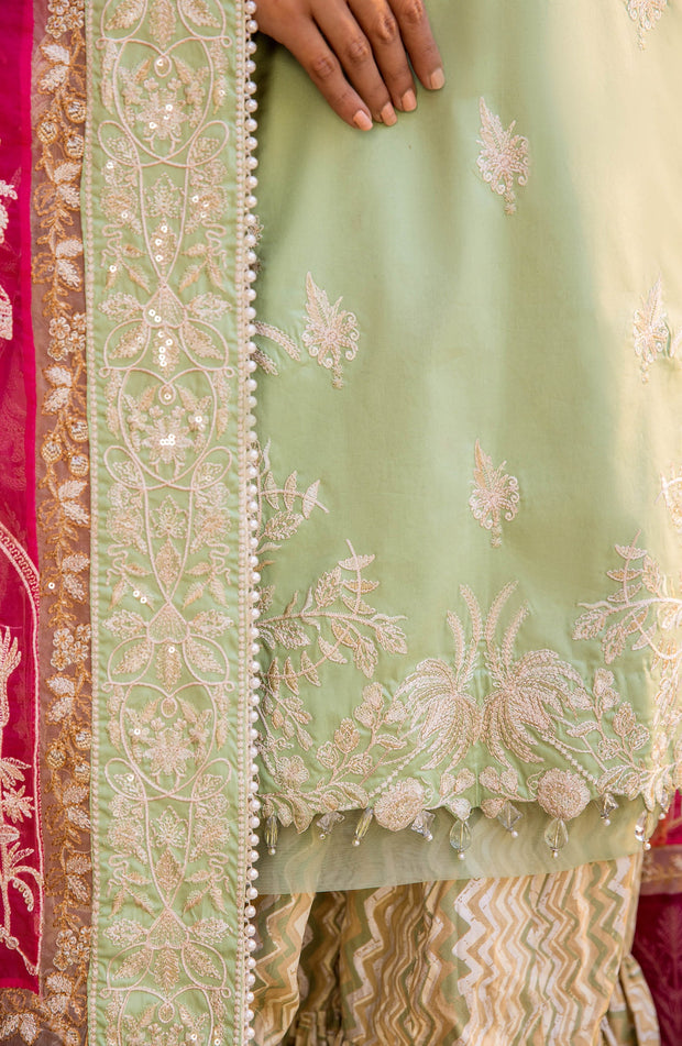 Royal Pakistani Eid Dress in Embroidered Kameez Trouser Style