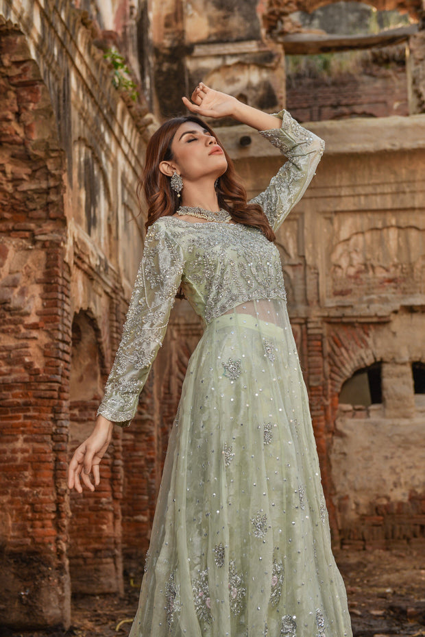 Royal Pakistani Gown and Wedding Lehenga Dress in Net
