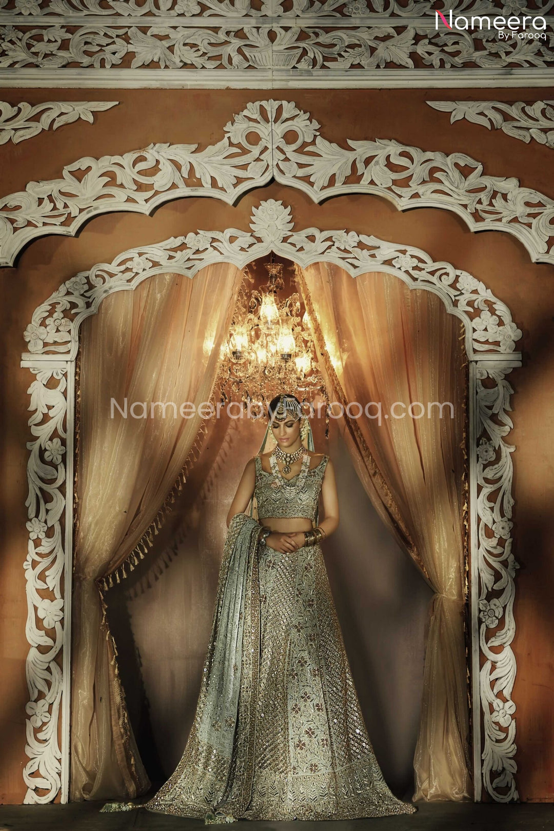 Royal Pakistani Lehenga Choli Dress
