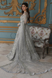 Royal Pakistani Long Gown and Dupatta Dress for Bride