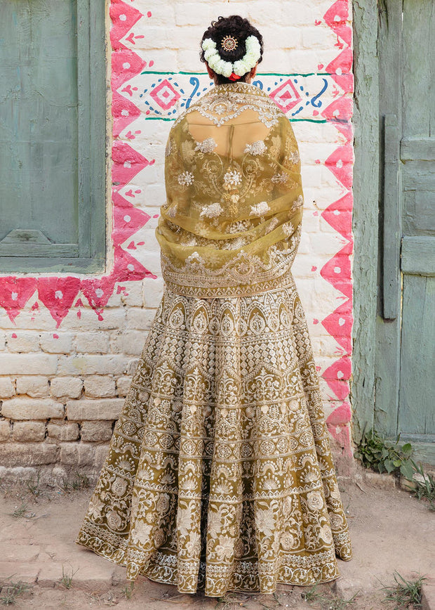 Royal Pakistani Pishwas Frock and Trousers Dress for Wedding