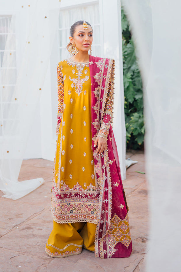 Royal Pakistani Wedding Kameez Trouser Dupatta Mehndi Dress