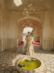 Royal Pakistani Wedding Lehenga Choli and Dupatta Dress Online