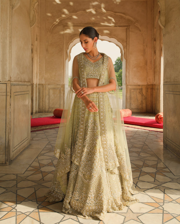 Royal Pakistani Wedding Lehenga Choli and Dupatta