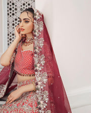 Royal Red Lehenga Choli and Dupatta Pakistani Bridal Dress