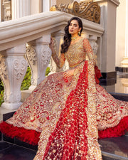 Royal Red Lehenga Choli and Dupatta Pakistani Bridal Dress