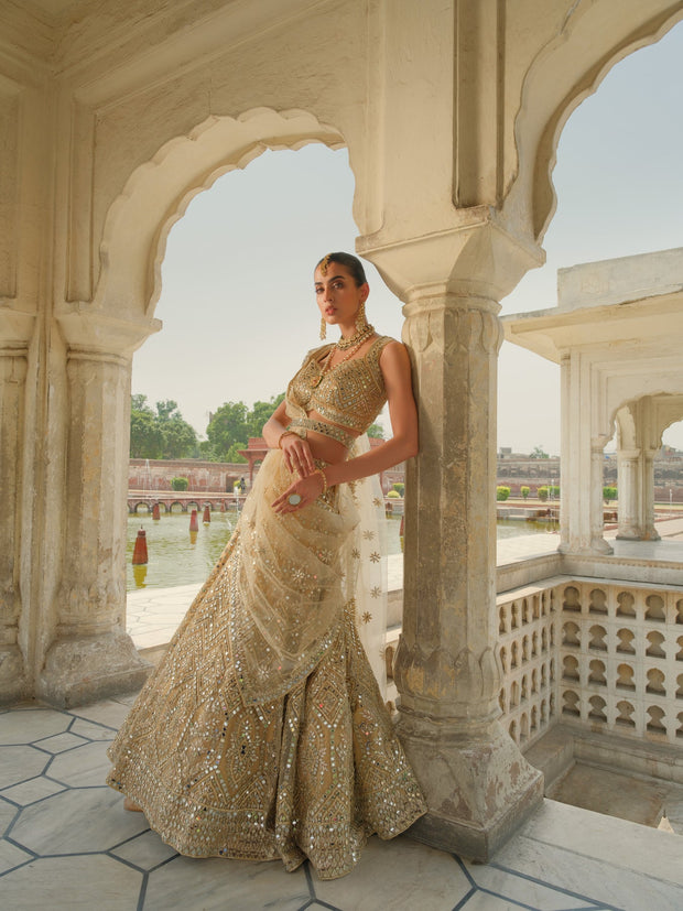 Royal Sleeveless Choli Lehenga Pakistani Wedding Dress Online