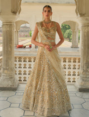 Royal Sleeveless Choli Lehenga Pakistani Wedding Dress