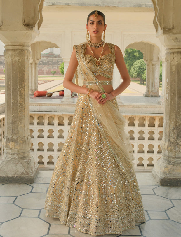 Lehenga Choli On Amazon,Lehenga Choli On Amazon : पड़ोस में होने वाली है  किसी की शादी तो ट्राय करें ये Lehenga Choli, 65% तक मिलेगी छूट - buy these  lehenga choli on