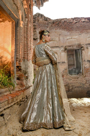 Royal Tissue Lehenga Choli Pakistani Bridal Dress