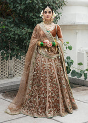 Royal Velvet Choli with Net Lehenga and Dupatta Pakistani Bridal Dress in Beige Gold Color