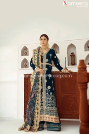 Royal Velvet Salwar Kameez Pakistani Design Dress