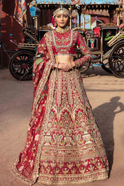 Ruby Red Raw Silk Lehenga Choli Pakistani Bridal Dresses