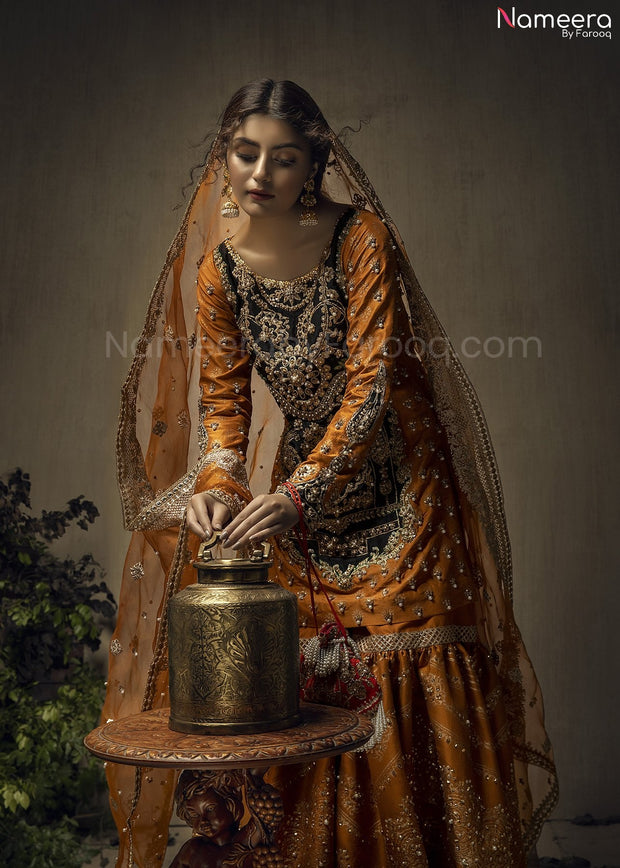 Rust Color Lehenga Dress 2021