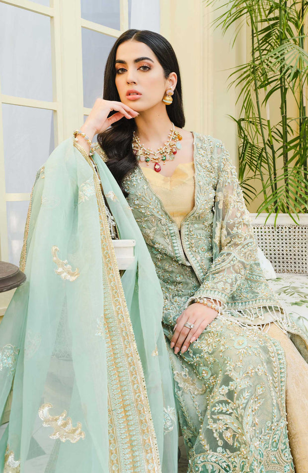 Sharara Dress Pakistani with Open Style Gown 2022