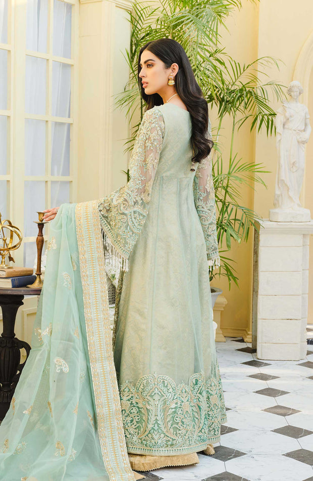 Sharara Dress Pakistani with Open Style Gown Latest