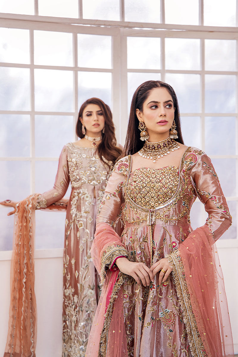Shop Traditional Peach Embroidered Dress in Gown Style Wedding Dress 2023