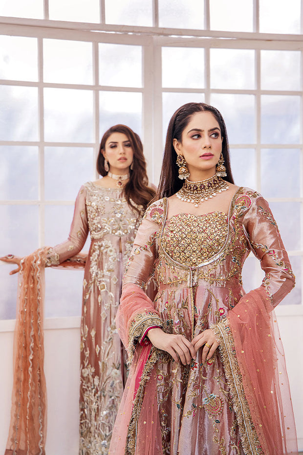 Shop Traditional Peach Embroidered Dress in Gown Style Wedding Dress 2023