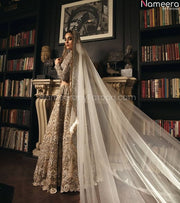 Silver Lehenga Choli
