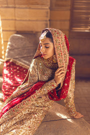 Skin Golden Kameez Lehenga