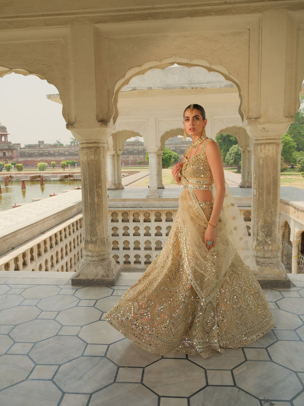 Sleeveless Choli Lehenga Pakistani Wedding Dress