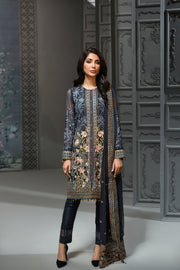 Stylish Pakistani Chiffon Designer Dress for Party  Front Look