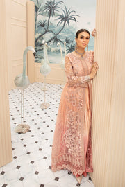 Latest Pakistani Net Maxi In Peachy Pink Shades # C2083