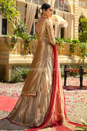 Tissue Fabric Lehenga