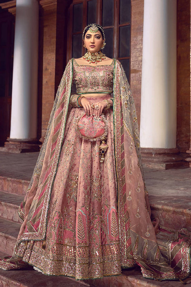 Tissue Lehenga Choli Bridal Dress Pakistani
