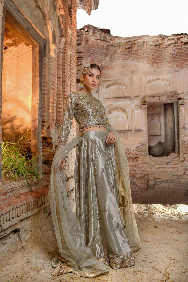 Tissue Lehenga Choli Pakistani Bridal Dress for Wedding
