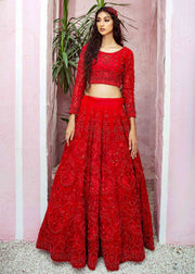 Traditional Choli and Red Lehenga for Bride Online