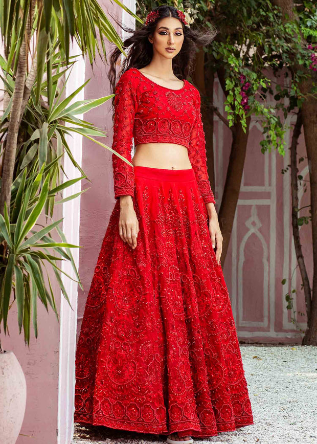 Traditional Choli and Red Lehenga for Bride
