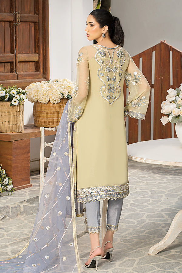 Traditional Embroidered Pakistani Party Dress in Organza Kameez and Raw Silk Trouser Style Online