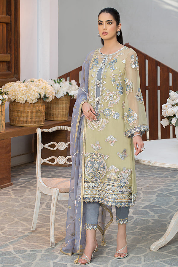 Traditional Embroidered Pakistani Party Dress in Organza Kameez and Raw Silk Trouser Style