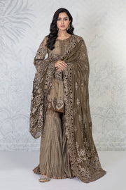 Traditional Gharara Kameez Pakistani Dress