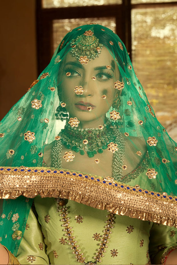 Traditional Mehndi Lehnga Choli in Pista Green Color Close Up