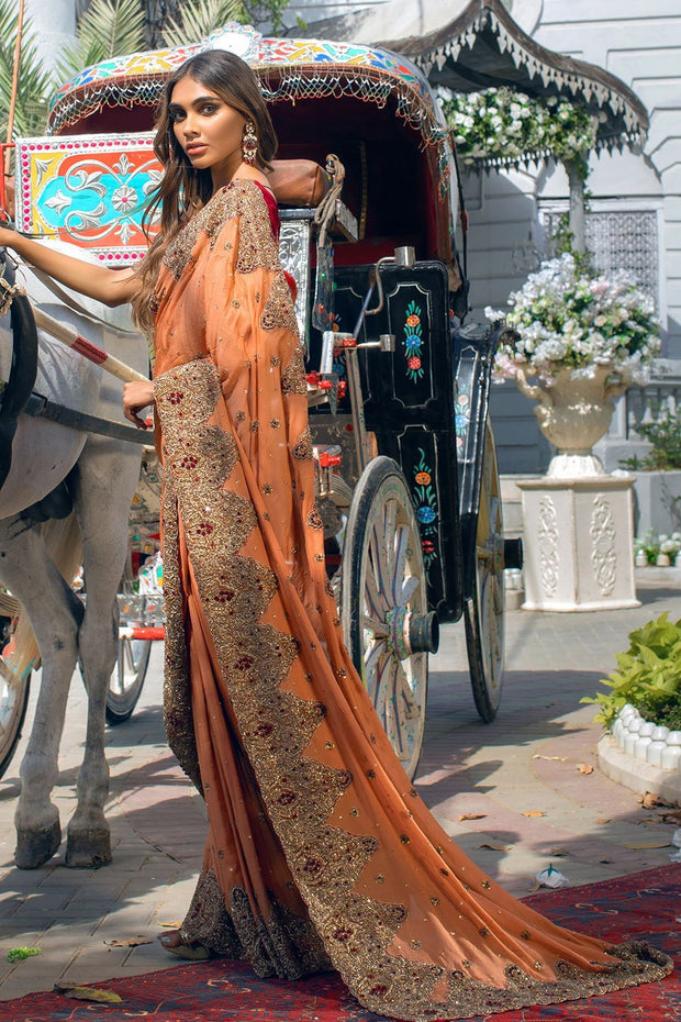 Traditional Pakistani Bridal Chiffon Saree Dress Online