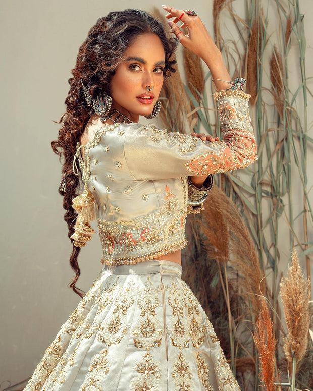 Traditional Pakistani Choli Lehenga Bridal Dress for Wedding