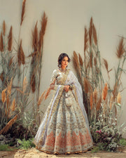 Traditional Pakistani Choli Lehenga Dupatta Bridal Dress