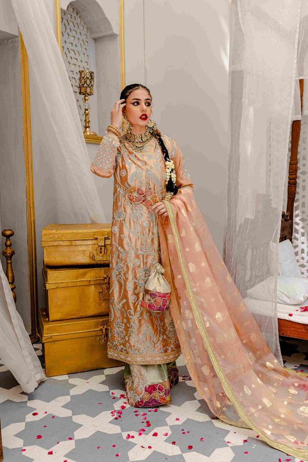 Traditional Pakistani Dress in Kameez Trouser Style Online