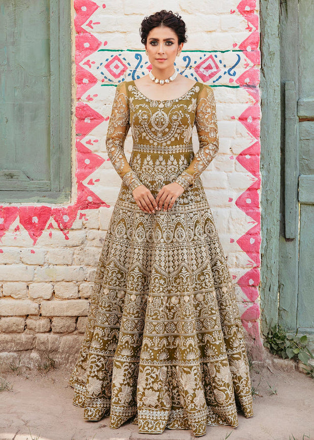 Traditional Pakistani Pishwas Frock and Trousers Dress for Wedding