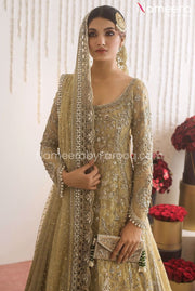 Traditional Pakistani Wedding Dress
