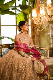 Traditional Pakistani Wedding Dress