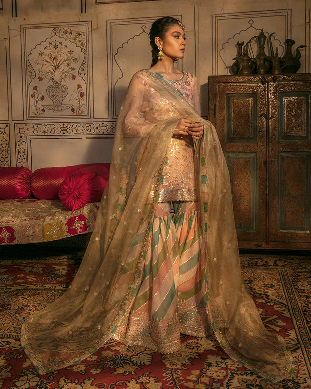 Traditional Pakistani Wedding Gharara Dress Online