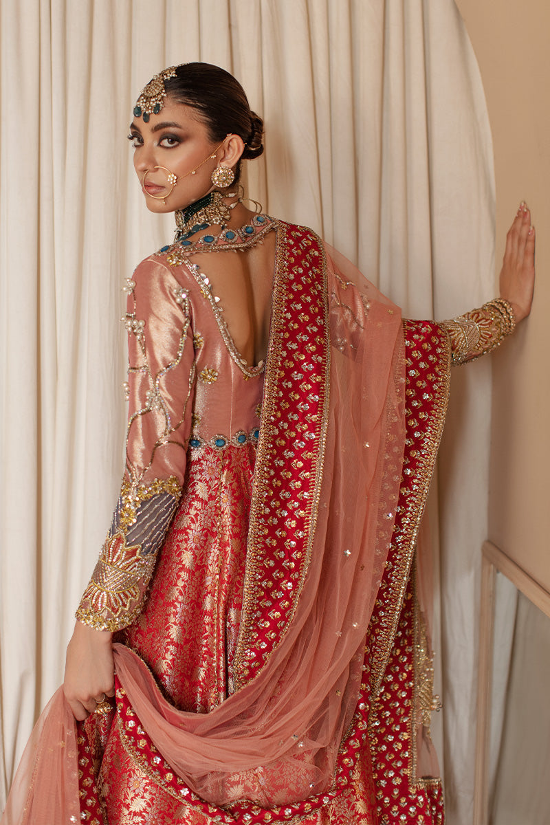 Elegant Traditional Pishwas & Dupatta Pakistani Bridal Dress
